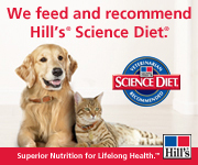 We feed and recommend Hill's Science Diet.